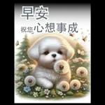 瑪爾濟斯小狗對你說早安40大貼圖-3