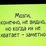 матные