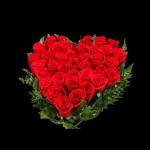 amor