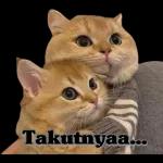 sweet