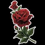 Good night, Sweet dreams