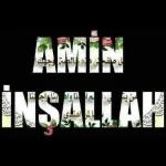 aynur