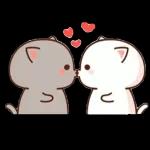 amor amor amor amor amor amor amor 