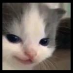 السلام عليكم
ورحمة الله وبركاته