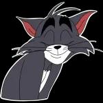 Tom and Jerry
                            Liza Fomushkina