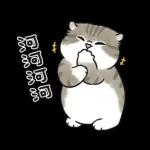 奶油小生 - 只想耍廢