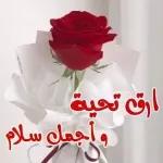 @STKRpro
صباحك
عسل ياعسل