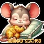 buenas noches 