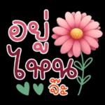 คำฮิต ภาษาดอกไม้ คนเหงา