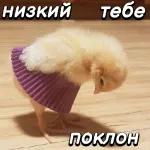 Очень серьезный разговор