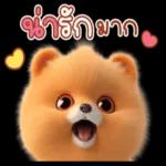 หมาเล็กๆน่ารัก😍