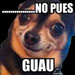 Gracias