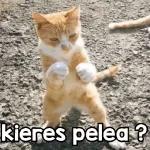 Te amo Te amo Te amo Te amo Te amo Te amo Te amo Te amo Te amo Te amo Te amo Te amo Te amo Te amo Te amo Te amo Te amo Te amo Te amo Te amo Te amo Te amo Te amo Te amo Te amo Te amo Te amo Te amo Te amo Te amo Te amo Te amo Te amo Te amo Te amo Te amo Te amo Te amo Te amo Te amo Te amo Te amo Te amo Te amo Te amo Te amo Te amo Te amo Te amo Te amo Te amo Te amo Te amo Te amo Te amo Te amo Te amo Te amo Te amo Te amo Te amo Te amo Te amo Te amo Te amo Te amo Te amo Te amo Te amo Te amo Te amo Te amo Te amo Te amo Te amo Te amo Te amo Te amo Te amo Te amo Te amo Te amo Te amo Te amo Te amo Te amo Te amo Te amo Te amo Te amo Te amo Te amo Te amo Te amo Te amo Te amo Te amo Te amo Te amo Te amo Te amo Te amo Te amo Te amo Te amo Te amo Te amo Te amo Te amo Te amo Te amo Te amo Te amo Te amo Te amo Te amo Te amo