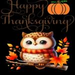 wish you happy in Thanksgiving.