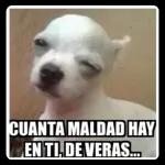 Toda princesa merece que le besen el sapo