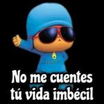 jajaja todo pendejo