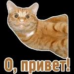 с добрым утром 