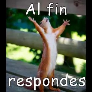 Al fin respondes - getsticker.com