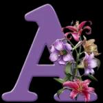 .. లేదా డిస్