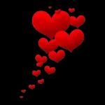 GOOD
NIGHT