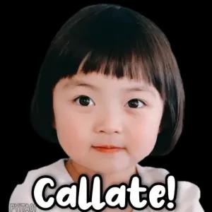 Callate! PYITAON  - getsticker.com