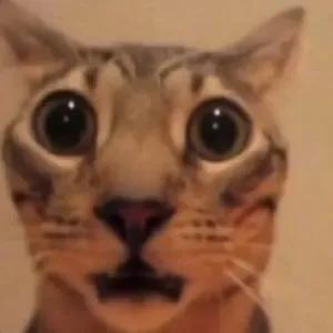 UH5DKR