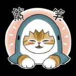 鯊魚貓咪 2