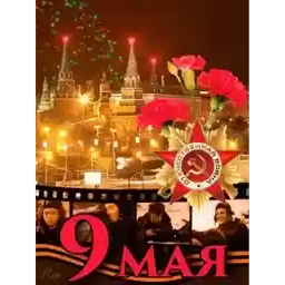 по вацапу 