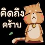 ต่อสิ่งที่ไม่จำเป็นในชีวิตเรา 