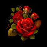 والشرور والشرور