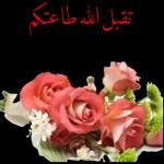 ماشاءالله