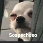SE VA A GANAR UN.. LADRILLAZO / 