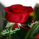 اوووك