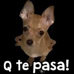aviso importante