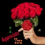 Thank you.