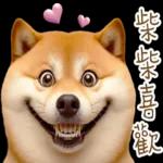 圓柴柴4：柴腹自由 薯條加大