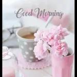 Good morning🌞🌹