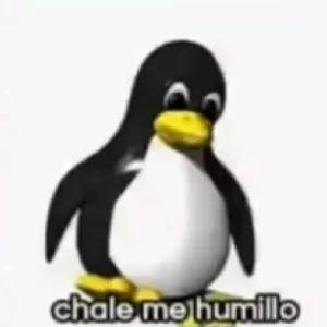 jfZ7O0