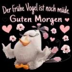 Moin Moin!🌹