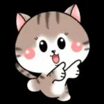 Cats! For reply