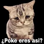 lulis