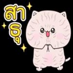 แมวนานาประเภท