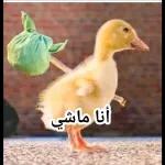 اللهم إنا نسألكالإخلاصفي القول والعمل