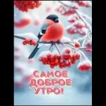 ДОБРОЕ утро