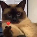 ❤️❤️❤️