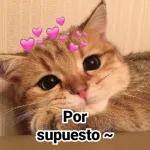nsihdb