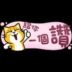 貓爪抓 -小小的你問我答抓-