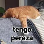 Cambio De Tema