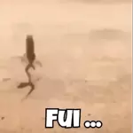 novo 2