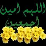 🤣🤣🤣🤣🤣🤣